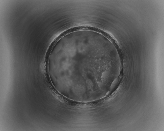 X0000113570879200909181245
