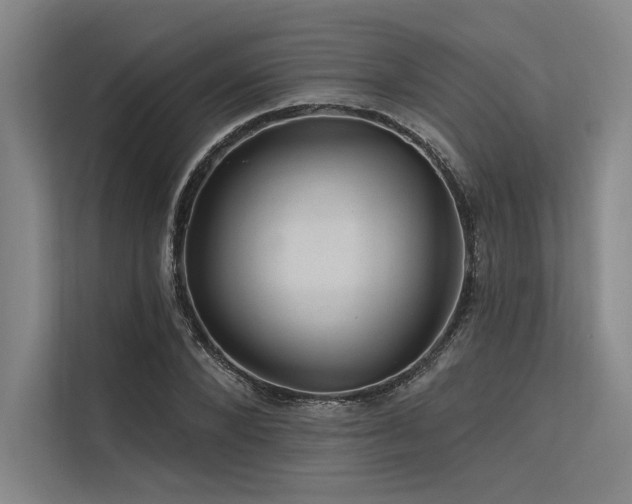 X0000113570880200909181245