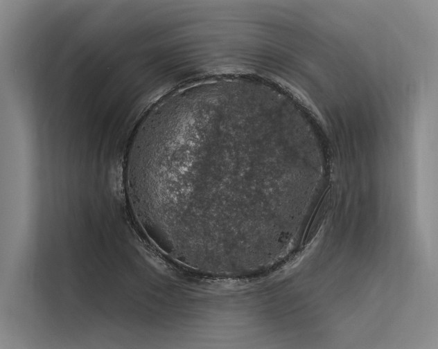 X0000113570881200909181245