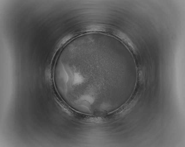 X0000113570882200909181245