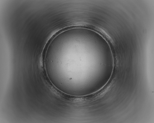 X0000113570883200909181245