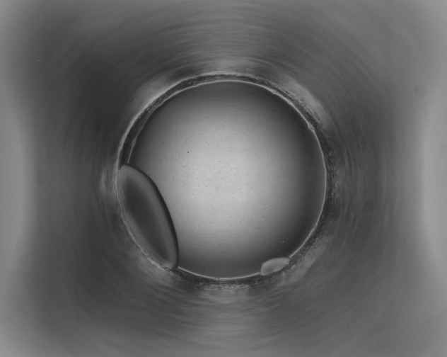 X0000113570884200909181245