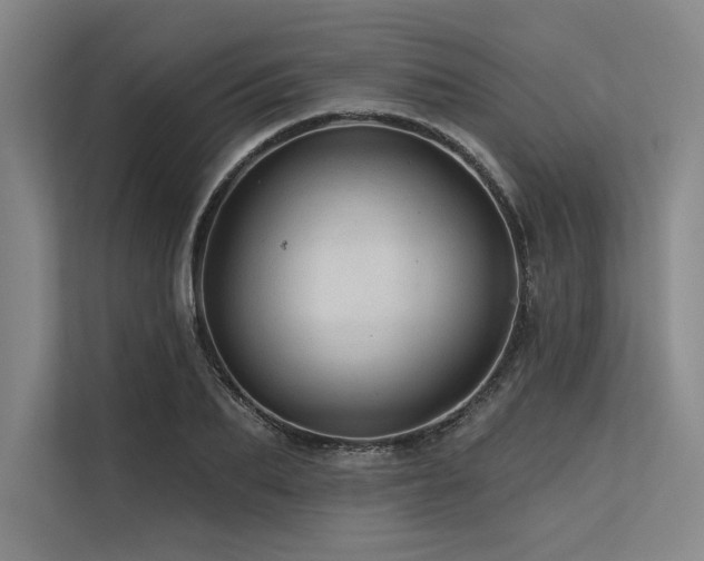 X0000113570887200909181245