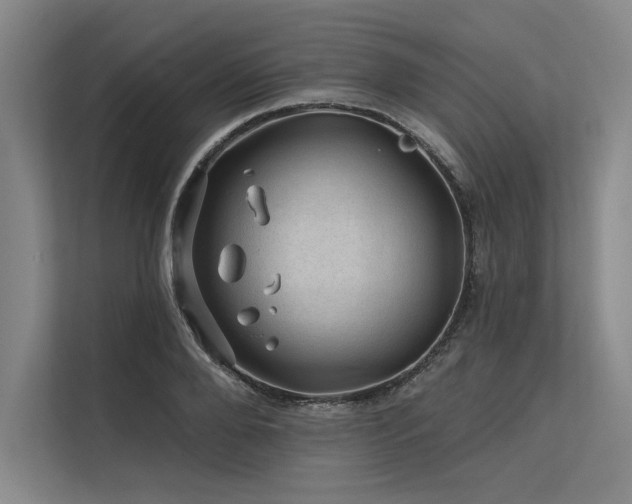 X0000113570888200909181245