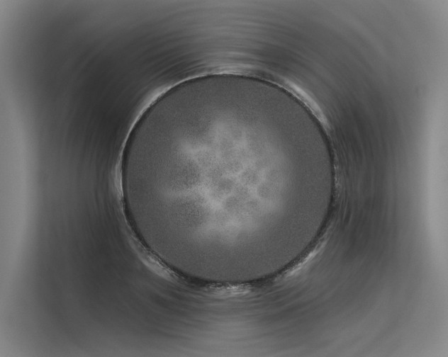 X0000113570891200909181245