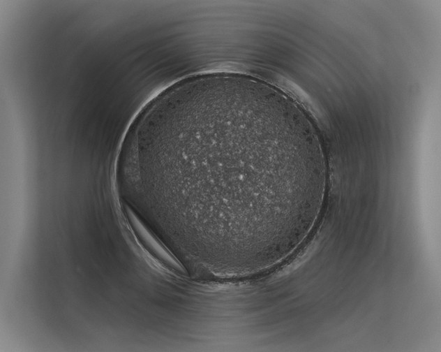 X0000113570892200909181245