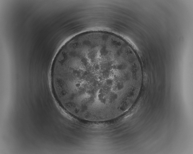 X0000113570895200909181245