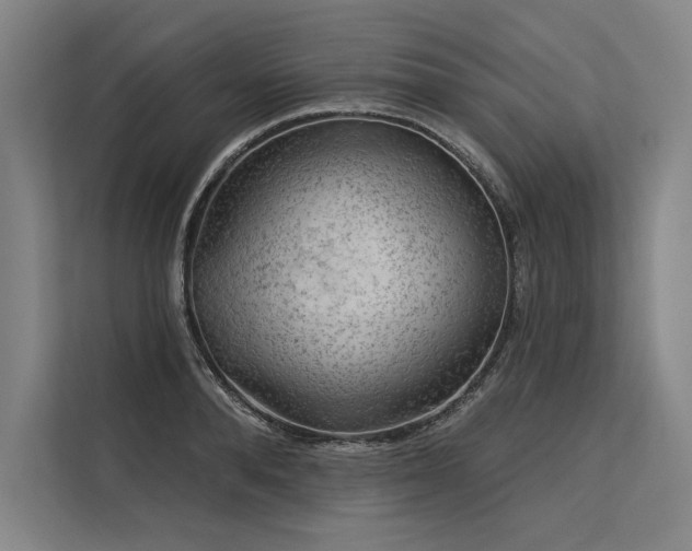 X0000113570896200909181245