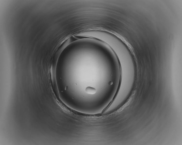 X0000113570897200909181245