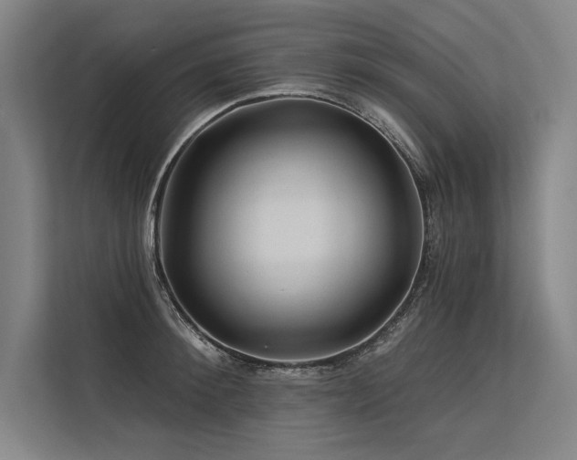 X0000113570900200909181245