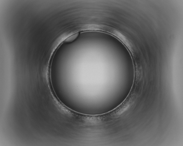 X0000113570901200909181245