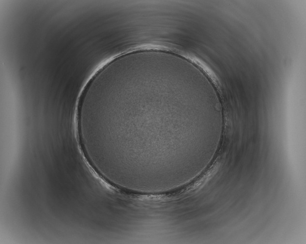 X0000113570902200909181245