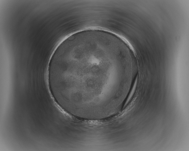 X0000113570903200909181245