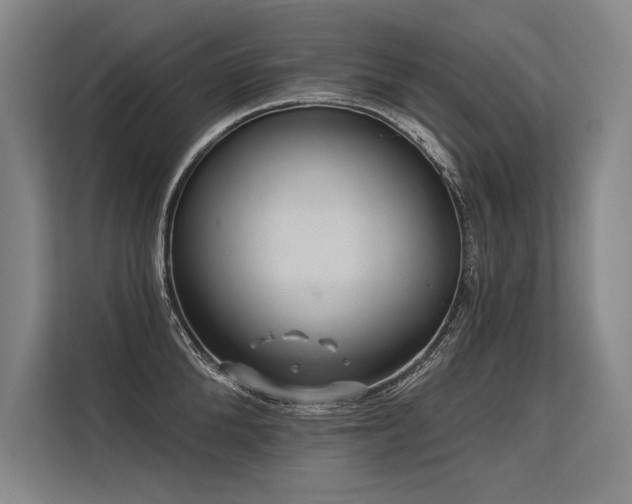 X0000113570904200909181245