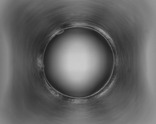 X0000113570905200909181245