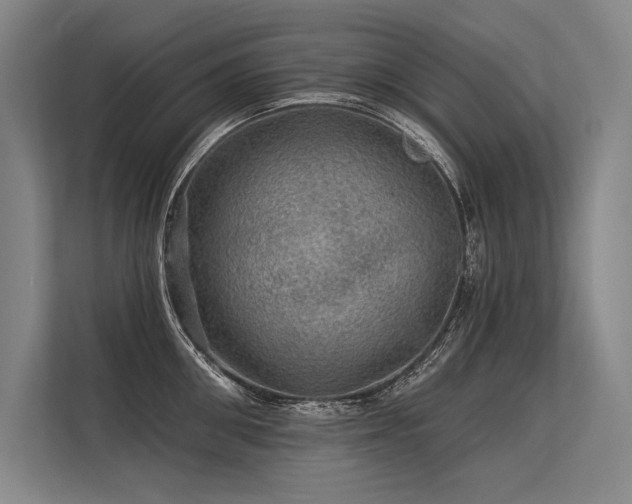 X0000113570906200909181245