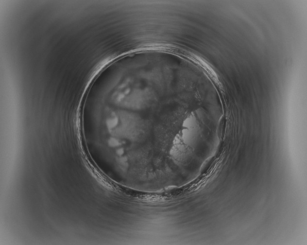 X0000113570907200909181245