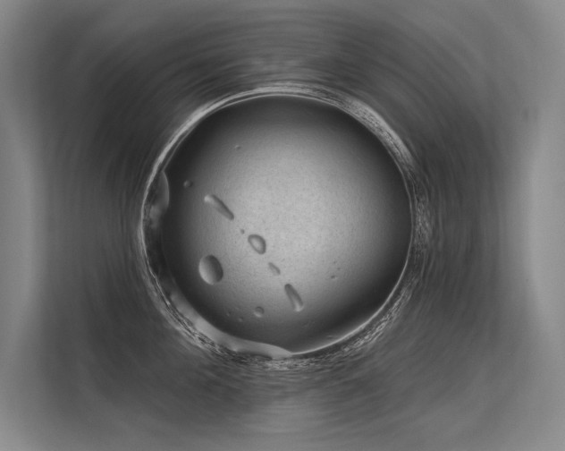 X0000113570908200909181245