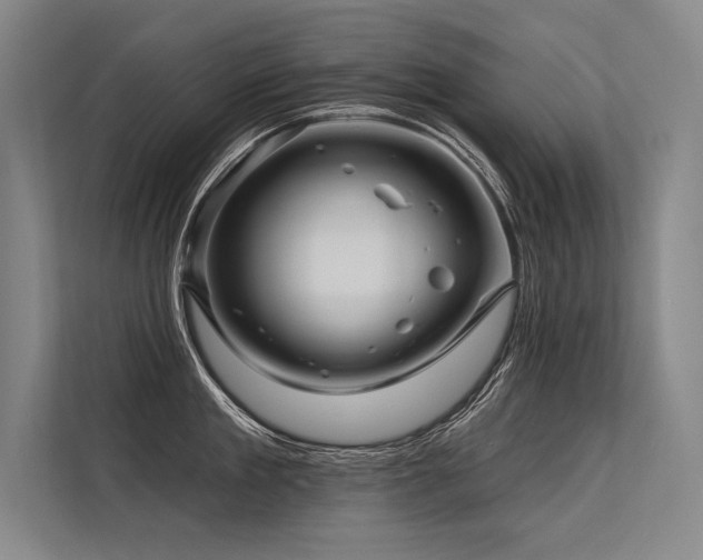 X0000113570909200909181244