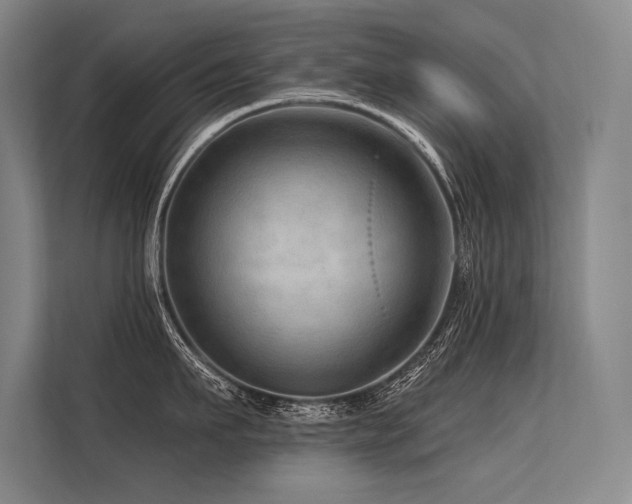 X0000113570911200909181244