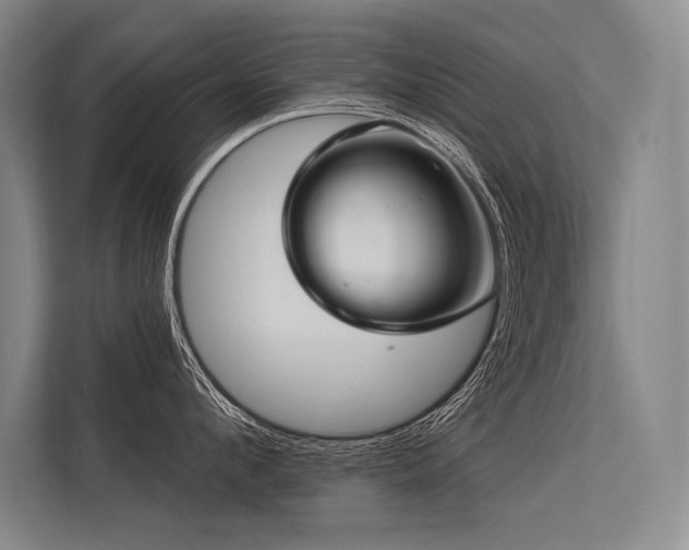 X0000113570912200909181244