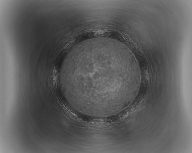 X0000113570914200909181244