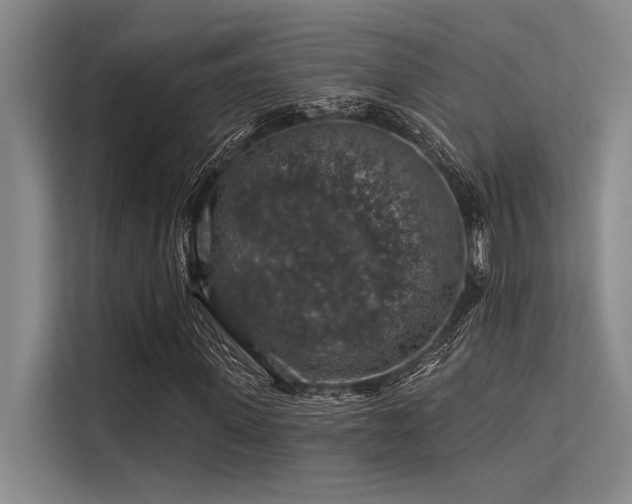 X0000113570915200909181244