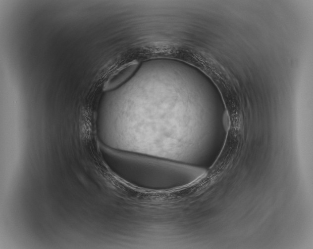 X0000113570916200909181244