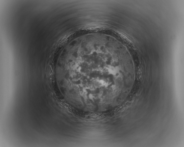 X0000113570917200909181244
