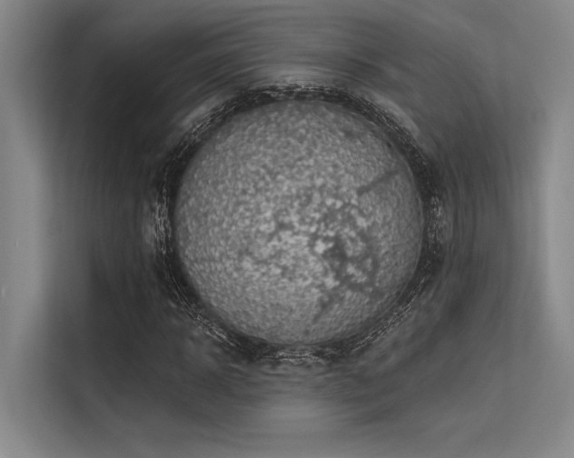 X0000113570918200909181244