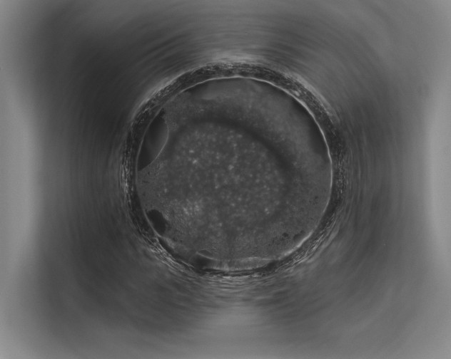 X0000113570919200909181244