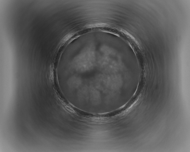 X0000113570921200909181244