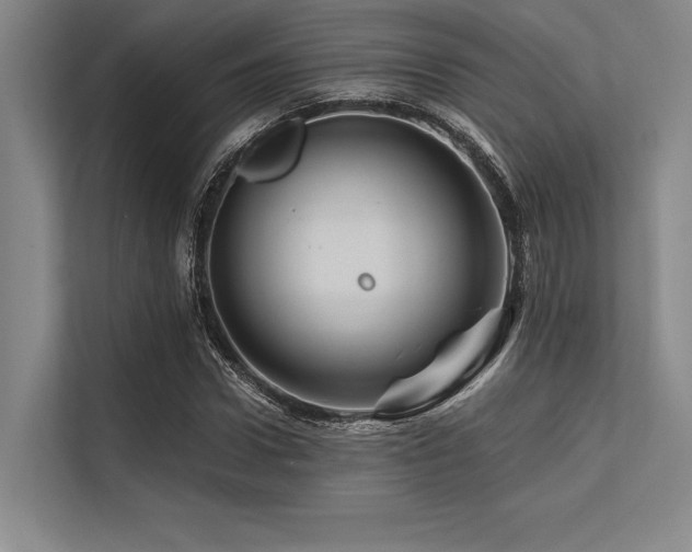 X0000113570922200909181244