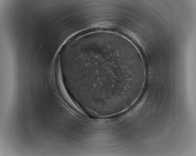 X0000113570923200909181244