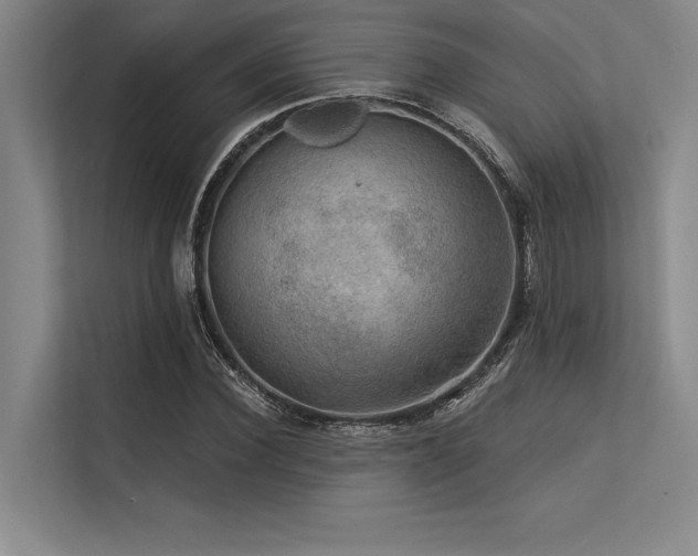 X0000113570924200909181244