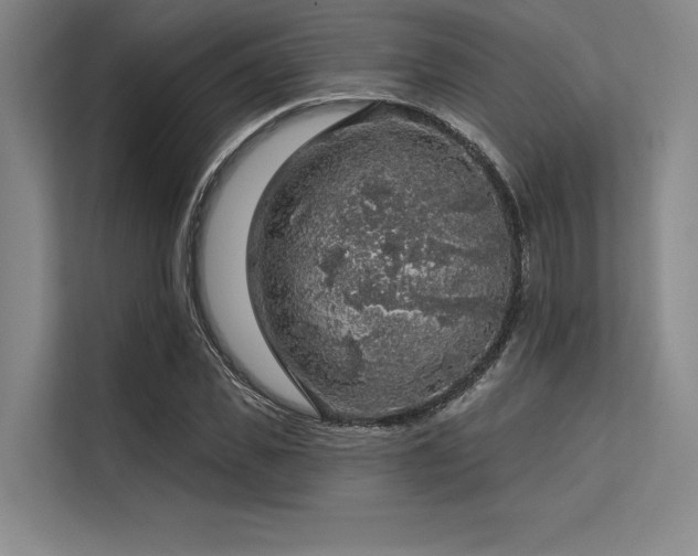X0000113570925200909181244