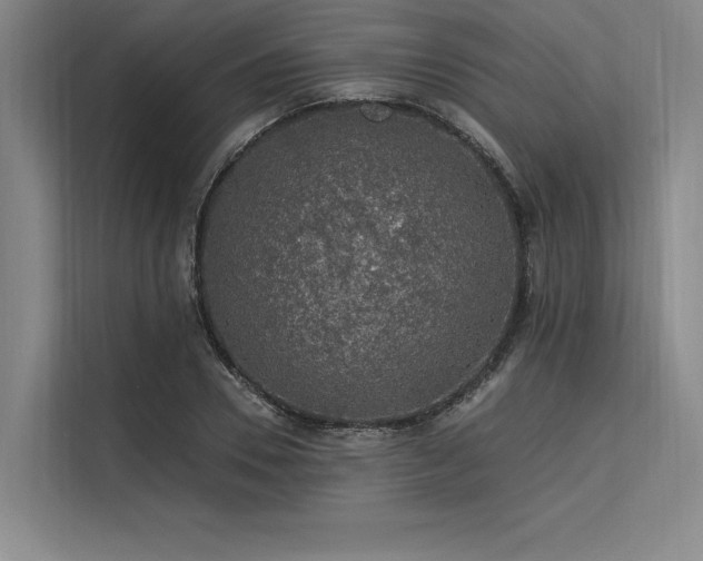 X0000113570930200909181244