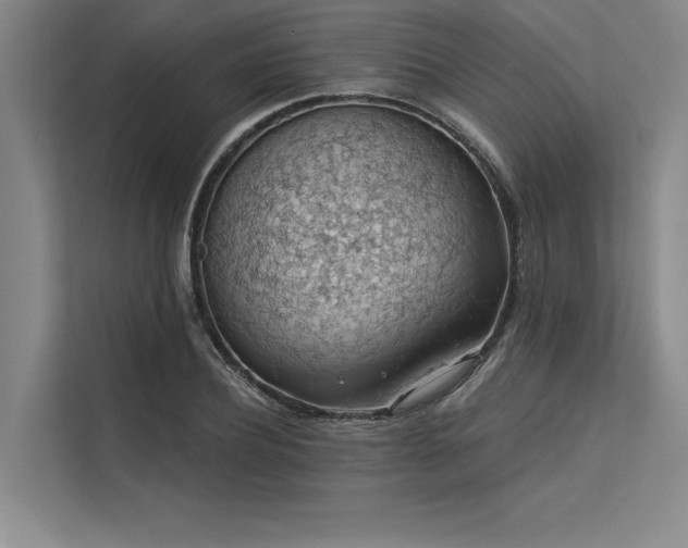 X0000113570932200909181244