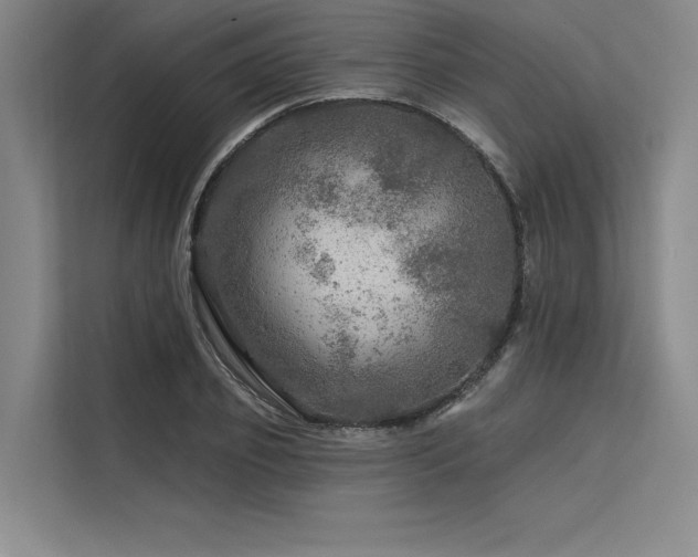 X0000113570933200909181244