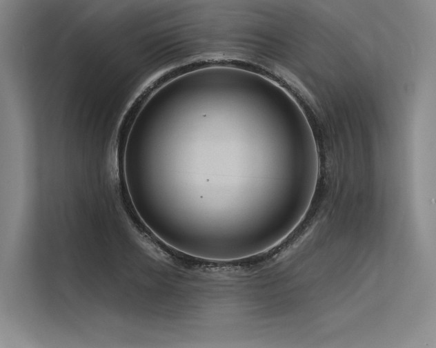X0000113570934200909181244