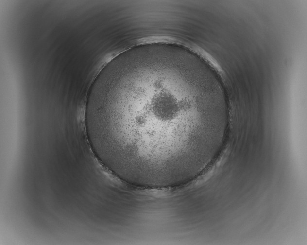 X0000113570937200909181244