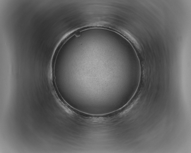 X0000113570940200909181244