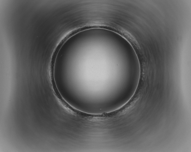 X0000113570942200909181244
