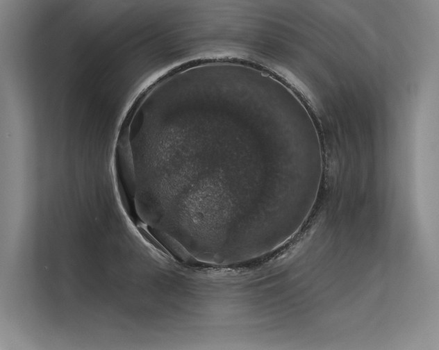 X0000113570943200909181244