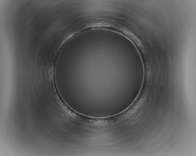 X0000113570945200909181244
