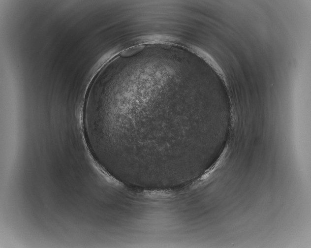 X0000113570946200909181244