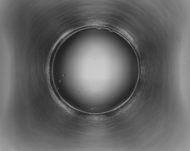 X0000113570947200909181244