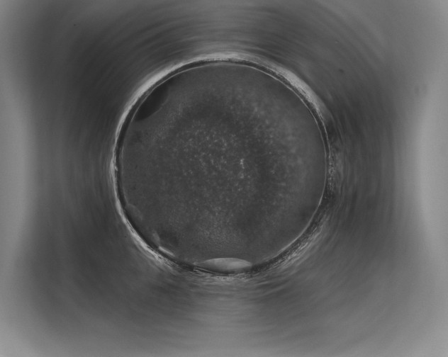 X0000113570951200909181244