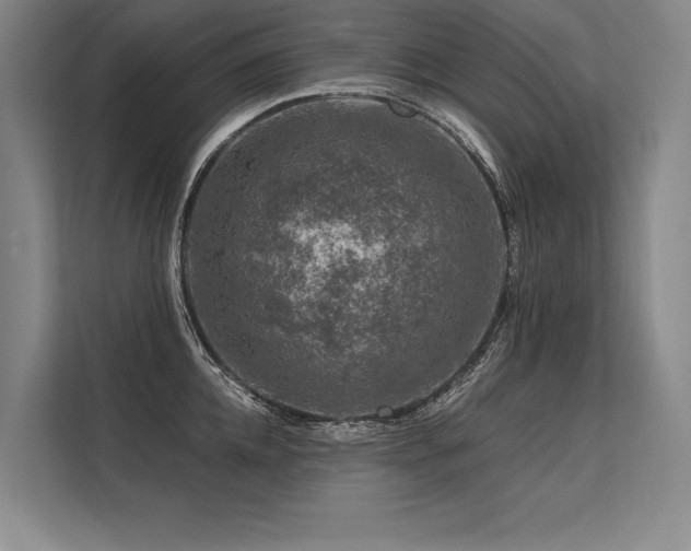 X0000113570952200909181244