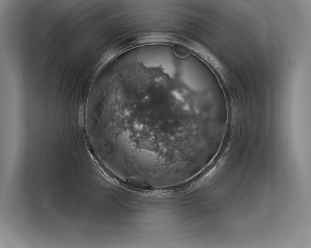 X0000113570953200909181244